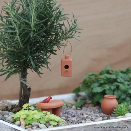 Gyakorlati ötletek miniatűr kertek (kertek) Gyakorlati ötletek miniatűr kertek