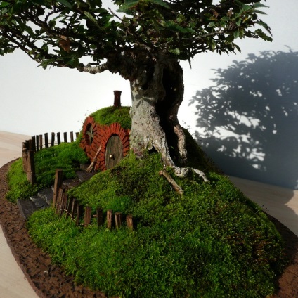Gyakorlati ötletek miniatűr kertek (miniatűr kert) Gyakorlati ötletek miniatűr kertek