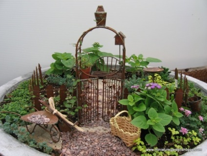 Gyakorlati ötletek miniatűr kertek (miniatűr) Gyakorlati ötletek miniatűr kertek
