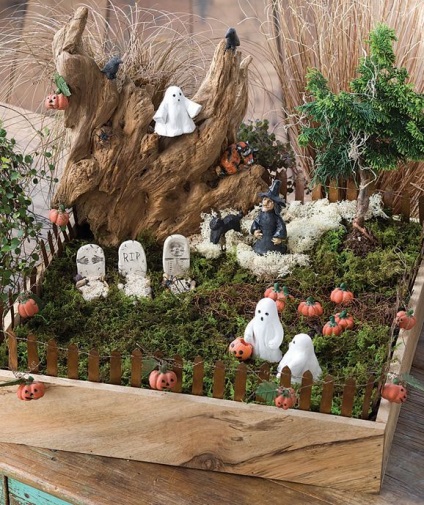 Gyakorlati ötletek miniatűr kertek (miniatűr kert) Gyakorlati ötletek miniatűr kertek