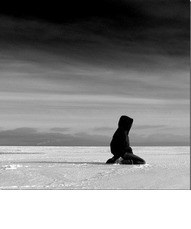 Helló, az álom, a blog Vladimira Lysyh (blog) Helló, az álom, a blog Vladimira Lysyh