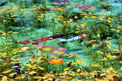 Pond Monet hihetetlenül szép víztömeg, mintha leszállt a festmény a művész