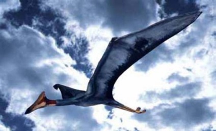 Pterosaurs - vagy 