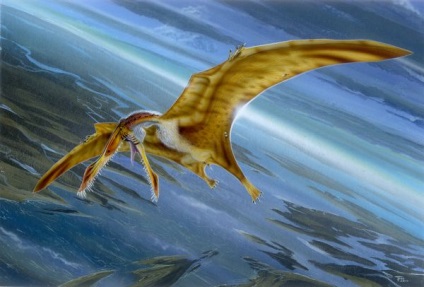 Pterosaurs - hírek az állatokról, ritka állatok és mitikus állatok