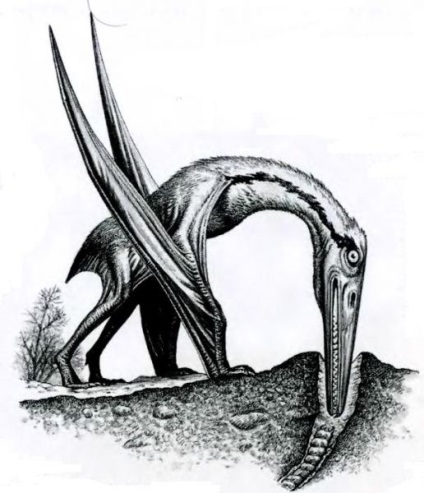 Pterosaurs - hírek az állatokról, ritka állatok és mitikus állatok