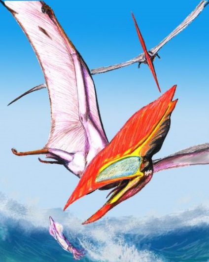 Pterosaurs - hírek az állatokról, ritka állatok és mitikus állatok