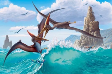 Pterosaurs - hírek az állatokról, ritka állatok és mitikus állatok