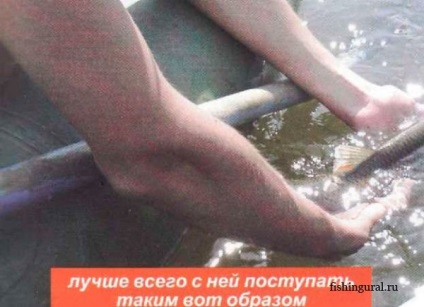 Halászati jogot (hálózatok) halászati jog