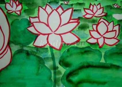 Rajz tó lotuses szakaszokban fényképpel (A.) Rajz tó lotuses szakaszokban fotókkal