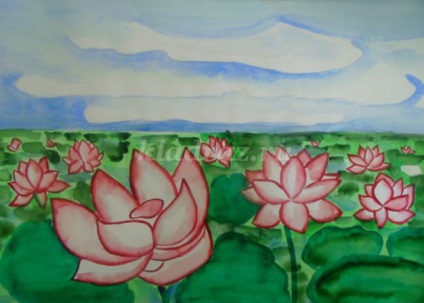 Rajz tó lotuses szakaszokban fotókkal