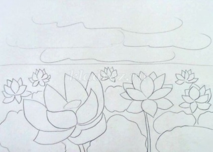 Rajz tó lotuses szakaszokban fényképpel (Yermakov) Rajz tó lotuses szakaszokban fotókkal