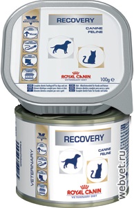 Royal Canin hasznosítás - használati utasítás, leírások, dózist - egy állatgyógyászati ​​készítmény