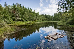 Rumyantsev zabroshki