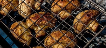 Gombák a grill - grill receptek a tűz és a pác majonézzel, szójaszósz (a tét) Gombák a grill - grill receptek a tűz és a pác majonézzel, szójaszósz