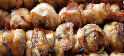 Gombák a grill - grill receptek a tűz és a pác majonézzel, szójaszósz (shish kebab) Gombák a grill - grill receptek a tűz és a pác majonézzel, szójaszósz