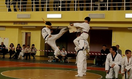 Az ütőerő taekwondo - az oroszlán - gyermekklub taekwondo