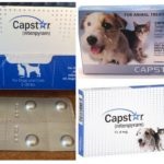 Tabletta a bolhák macskák és kutyák visszacsatolás és a használati utasítást