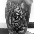 Tiger tattoo jelenti vázlatok