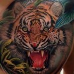 Tiger tattoo jelenti vázlatok