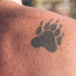 Tattoo mancsok nyomai 7 faj, 15 értékeket, 80 kép és vázlatok a legjobb