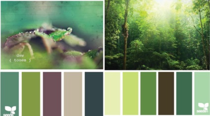 Meleg és hideg zöld, lookcolor (hideg) Meleg és hideg zöld, lookcolor