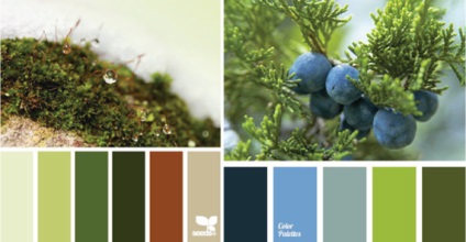 Meleg és hideg zöld, lookcolor (hideg) Meleg és hideg zöld, lookcolor