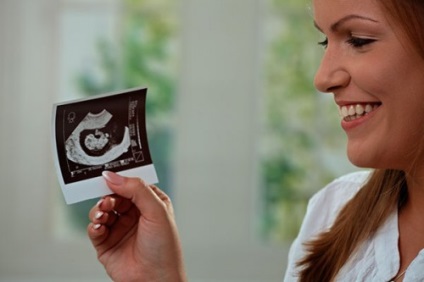 Cickafark nőgyógyászati (amely kifejezés) Cickafark Nőgyógyászati