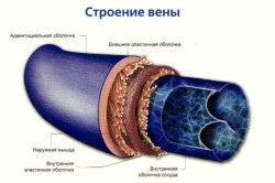 deoxygenated vér