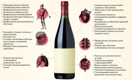 Minden előnyeit és árt a hazai bor