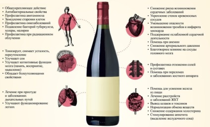 Minden előnyeit és árt a házi bor (Use házi bort) Minden előnyeit és árt a hazai bor