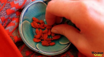 Goji hogyan kell használni, és mik az ellenjavallatok (bogyók) Goji hogyan kell használni, és mik az ellenjavallatok