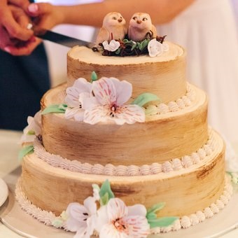 Esküvői torta hattyúk szállítási Moszkva
