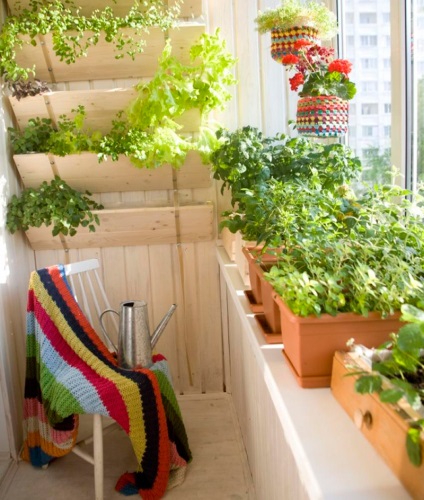 A zöldek az erkélyen, és a szabályok miatt termesztése
