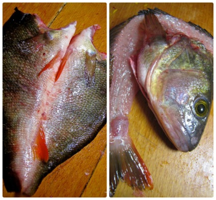 Pörkölt sügér és a sügér (sügér) Fried sügér és süllő