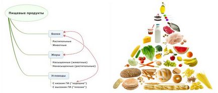 inzulin termelést fokozó ételek