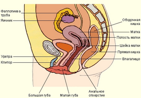 hipertrofia benigna de prostata grado 2