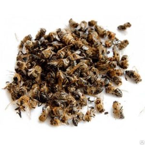a prosztatagyulladás kezelése méhekkel