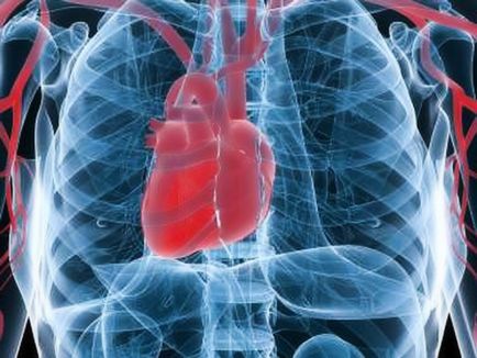 szív- és érrendszeri betegségek, szív, szívritmus, szívritmuszavar, szívritmuszavar kezelése, EKG