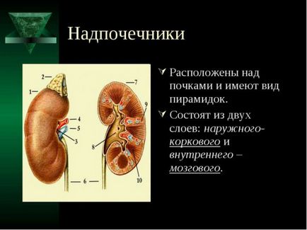 mellékvese daganat vérkép)