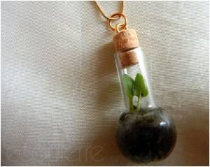 10 belles idées Terrarium de bijoux, Faire un Terrarium!