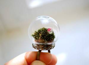 10 belles idées Terrarium de bijoux, Faire un Terrarium!