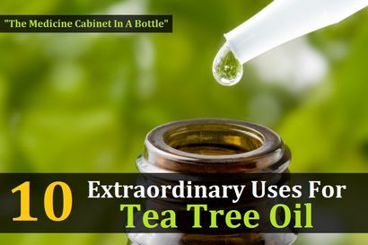 10 utilisations extraordinaires pour l'huile de théier - Sanguinaire Salve
