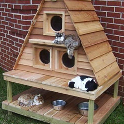 10 Outdoor Cat Maisons, Monde - Meilleur Blog Litière Cat, changement dans l'air (monde) 10 Outdoor Cat Maisons, Monde - s le meilleur blog de litière pour chats, changement dans l'air