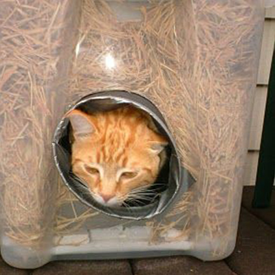 10 Outdoor Cat Maisons, Monde - Meilleur Blog Litière Cat, Assainir l'air (soins de chat) 10 Outdoor Cat Maisons, Monde - s le meilleur blog de litière pour chats, changement dans l'air