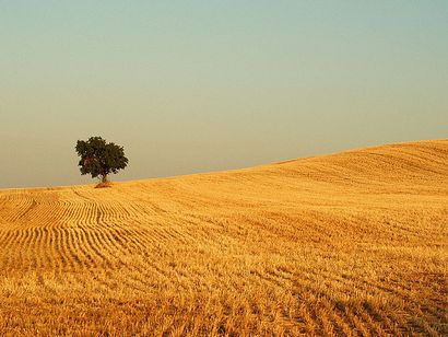 Top 10 Photographie règles de composition, Photographie Mad