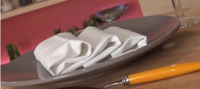 10 façons de plier les serviettes qui wouah vos invités