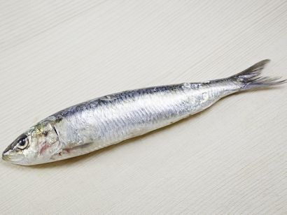 10 wunderbare Vorteile von Sardine, Bio-Fakten