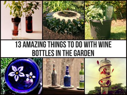 13 choses étonnantes à faire avec des bouteilles de vin dans le jardin