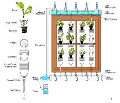 13 bouteilles en plastique verticale Idées Jardin, Bouteille Soda Jardin, Balcon Jardin Web