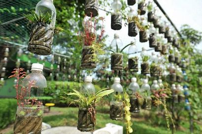 13 bouteilles en plastique verticale Idées Jardin, Bouteille Soda Jardin, Balcon Jardin Web